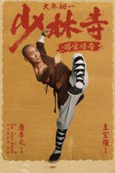 Rising Shaolin The Protector poster 165x248 1
