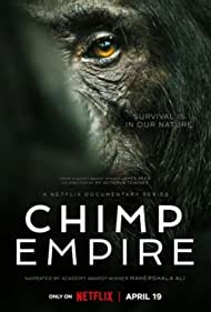 Chimp Empire 2023