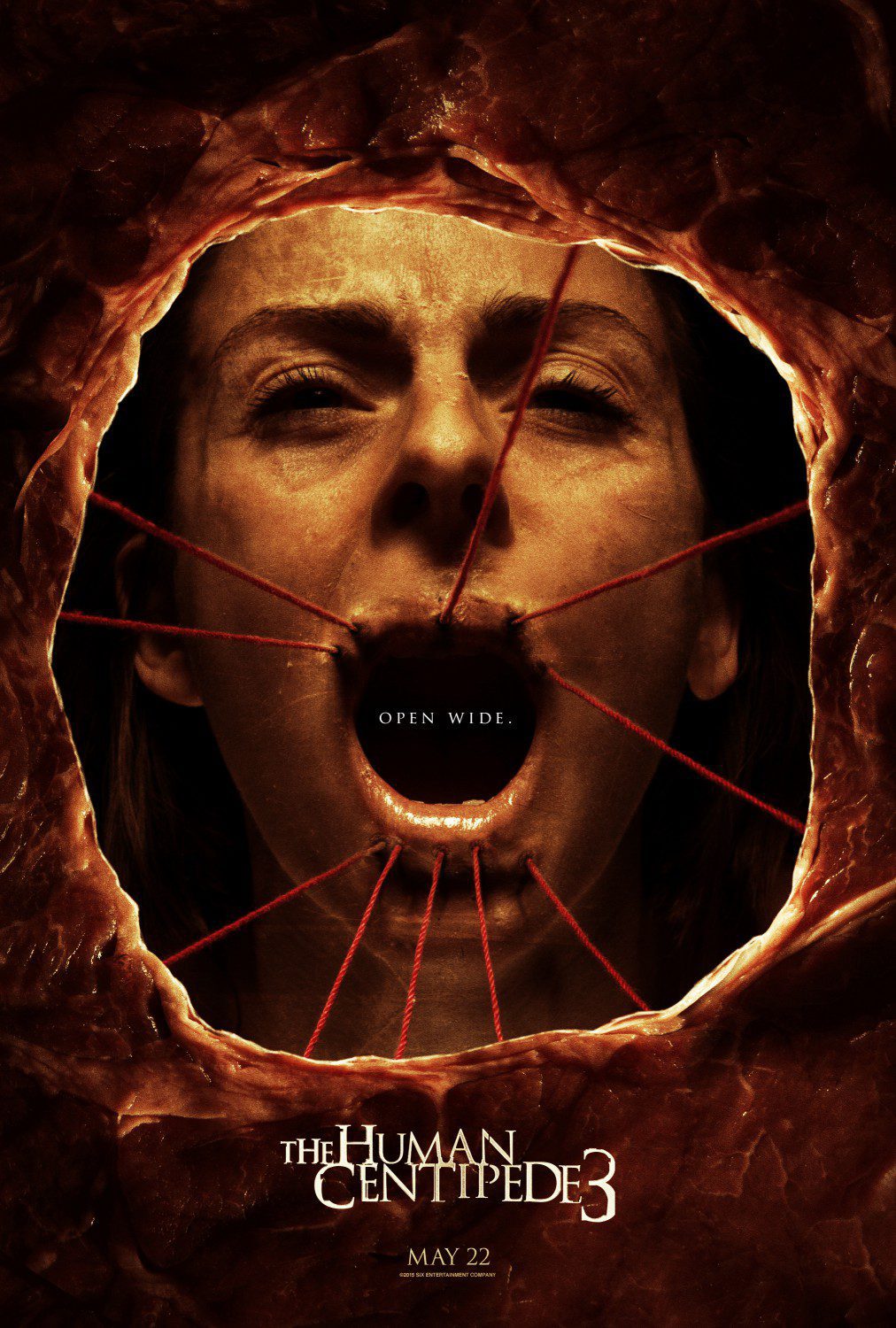 The Human Centipede III 2015