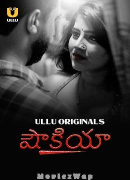 shaukiya 2024 telugu unrated season 01