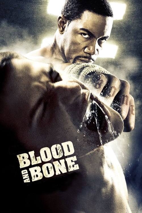 Blood and Bone 2009 Dual Audio Hindi English Full Movie