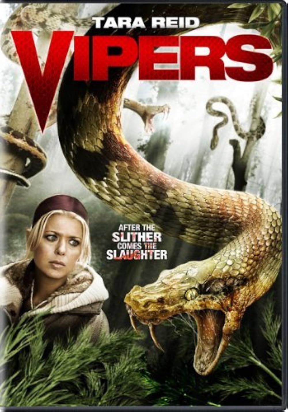 Vipers 2008